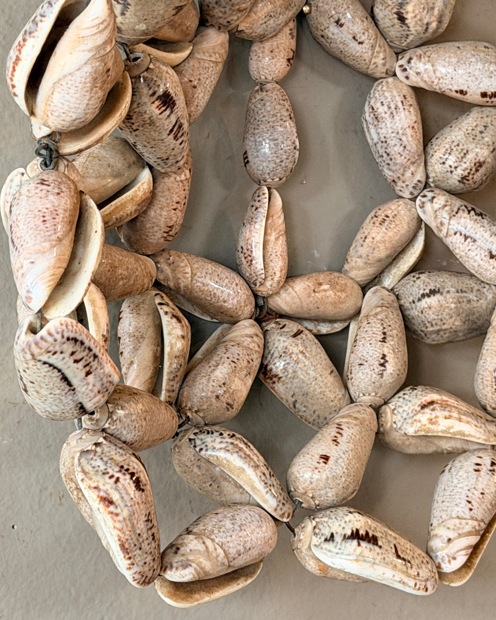 Wired Decorative Shell Bowl