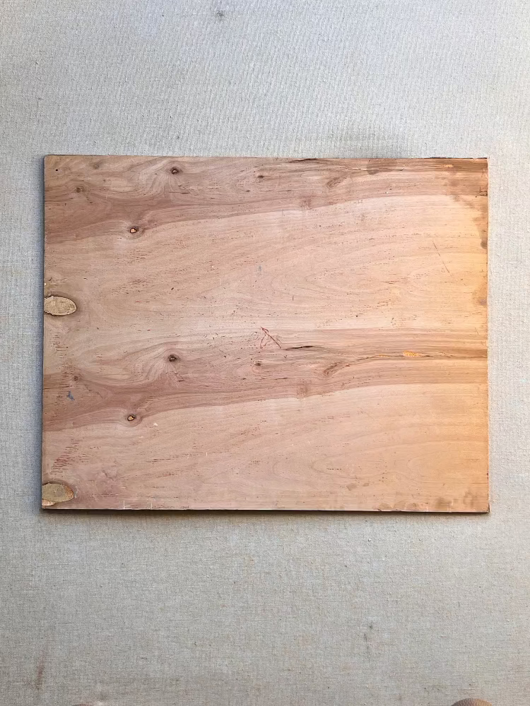 Original Still Life with Onion