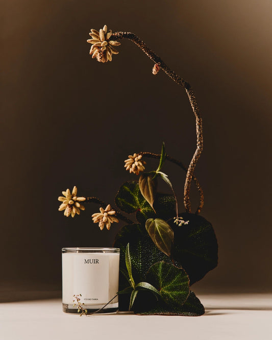 Studio Tarea Candle - Muir