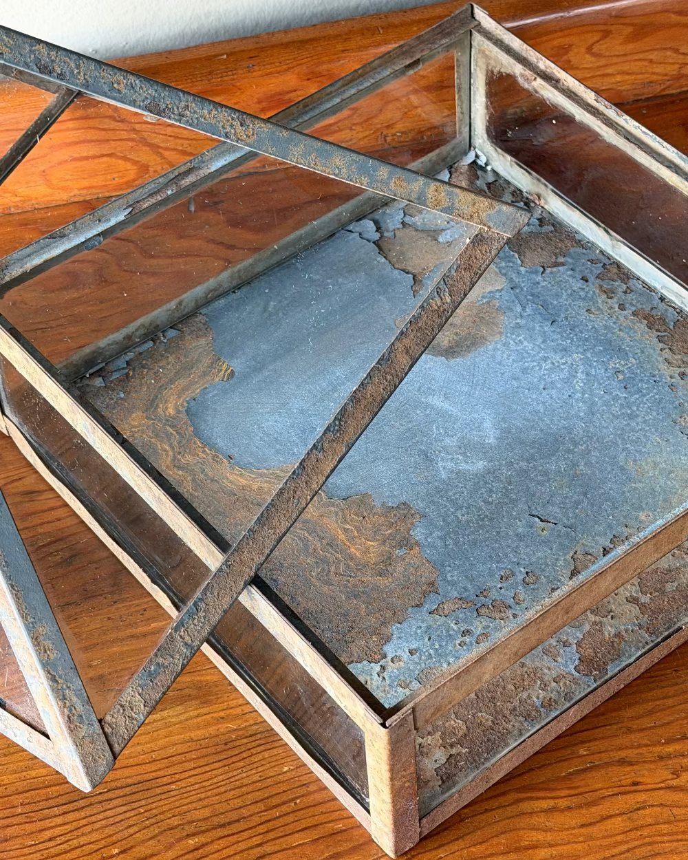 Metal & Glass Terrarium