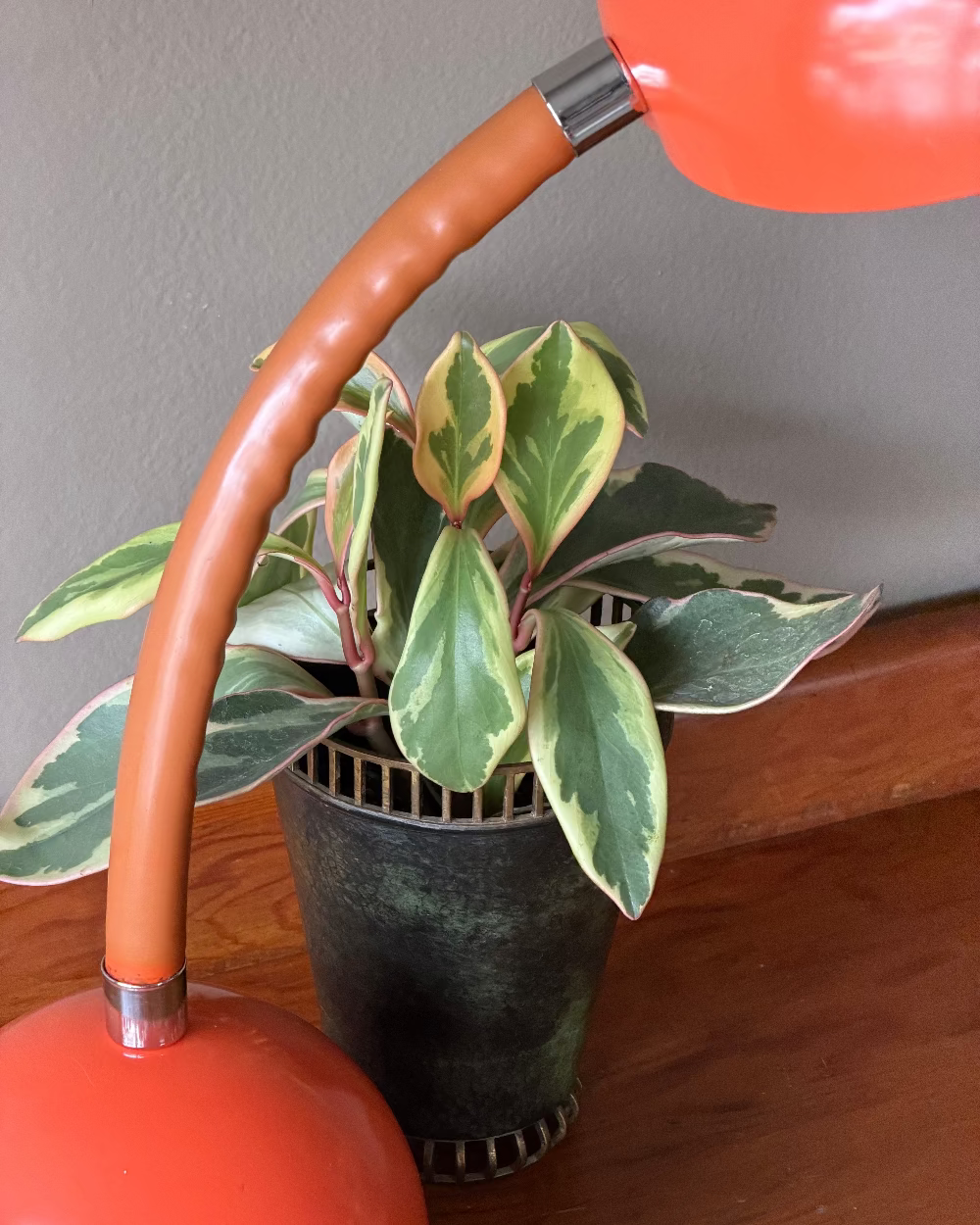 Space Age Wrapped Gooseneck Lamp