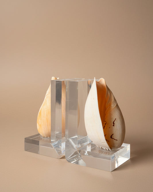 Lucite & Melo Melo Shell Bookends