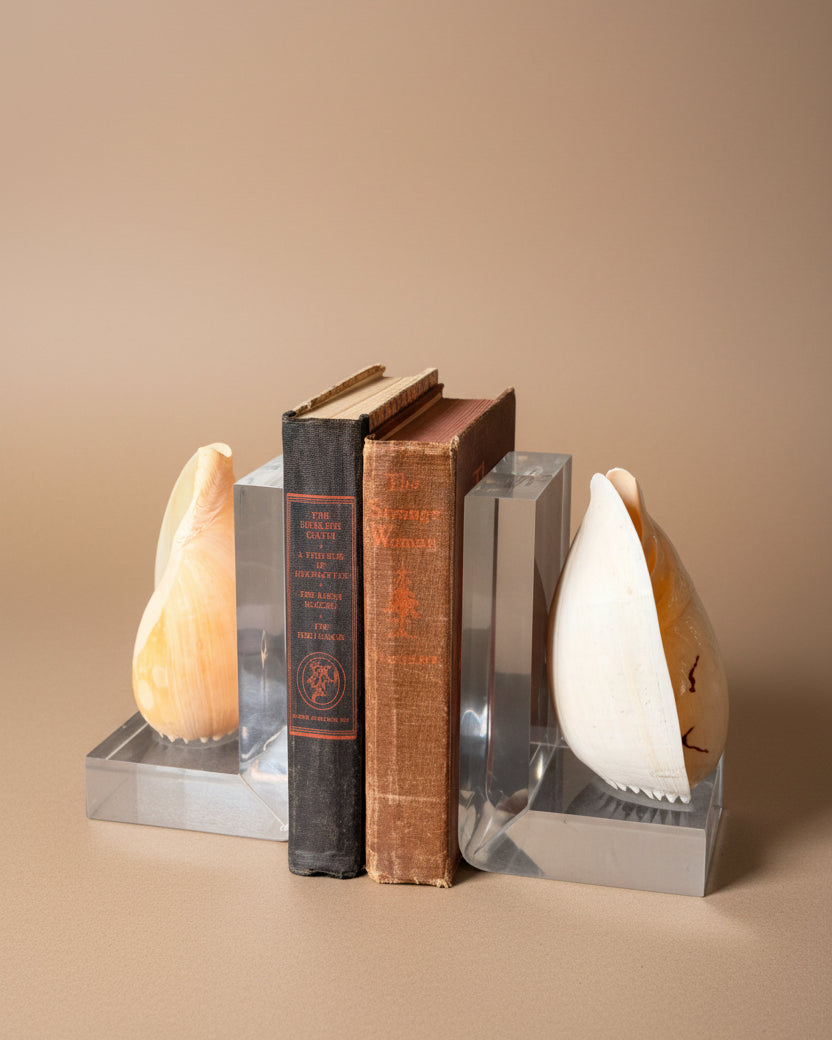 Lucite & Melo Melo Shell Bookends