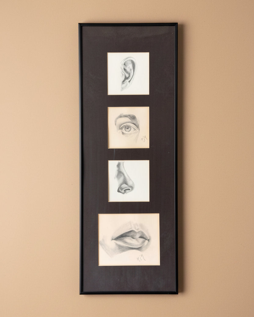 Facial Studies in Pencil