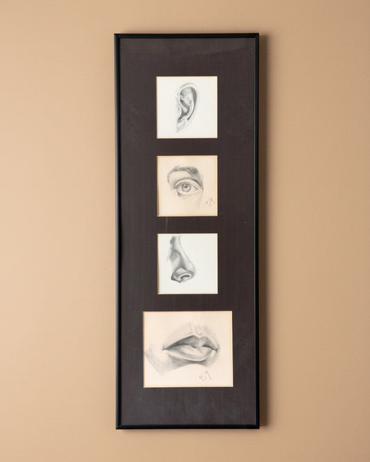Facial Studies in Pencil