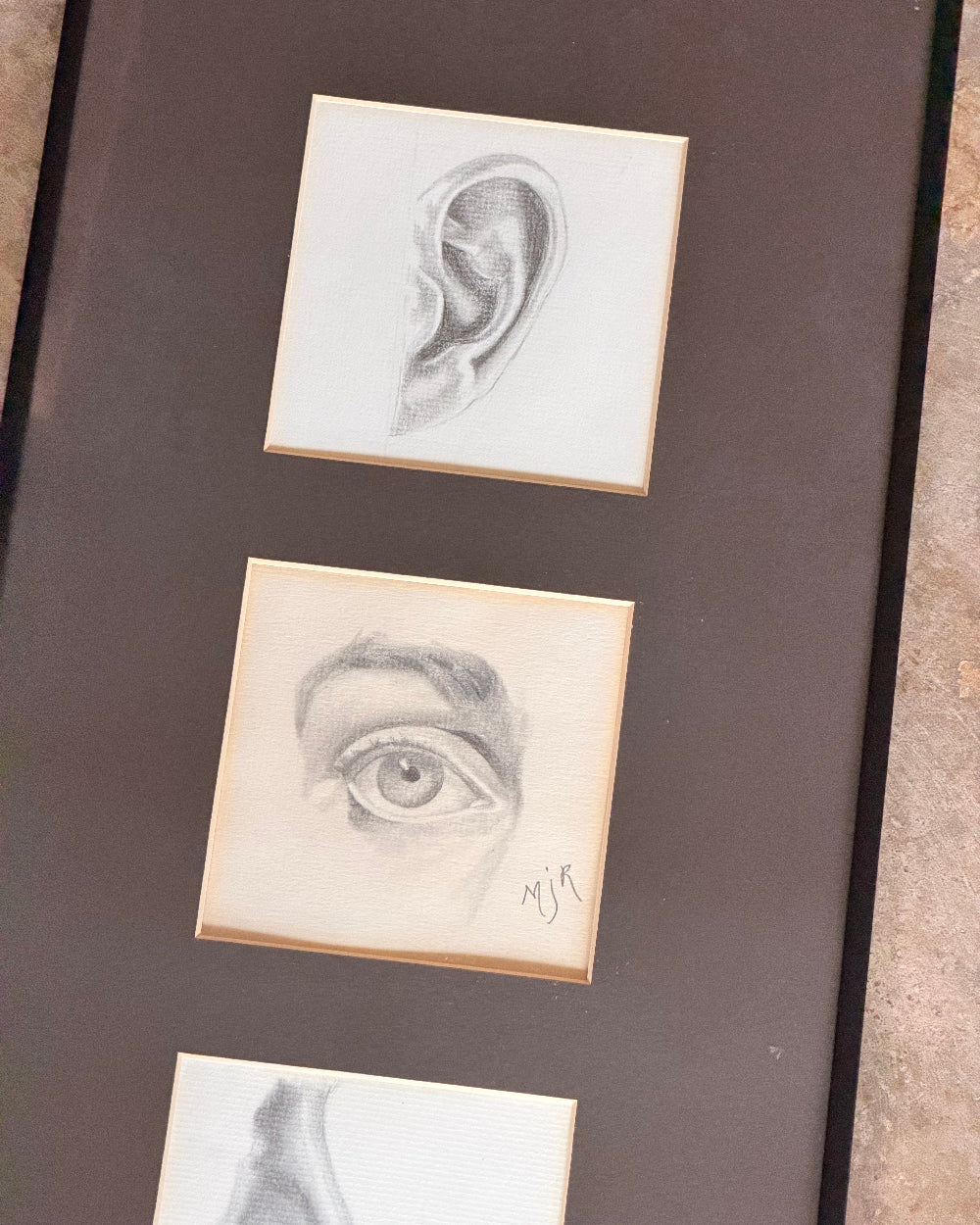Facial Studies in Pencil