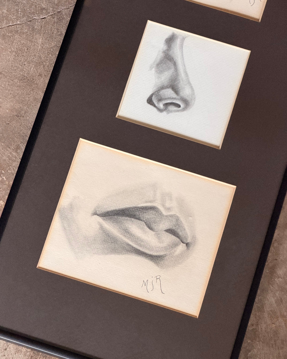 Facial Studies in Pencil