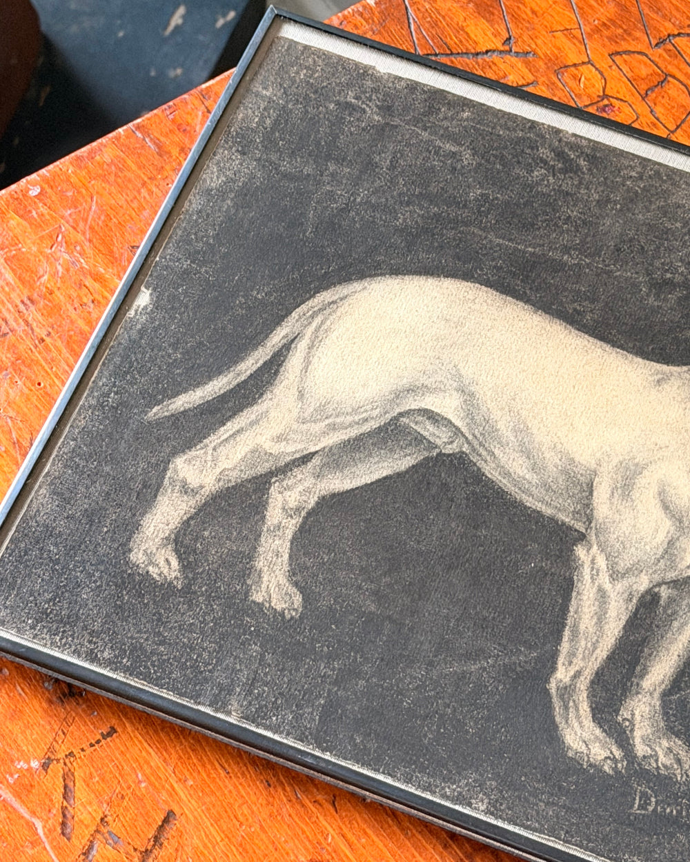 Original Charcoal of Bull Terrier