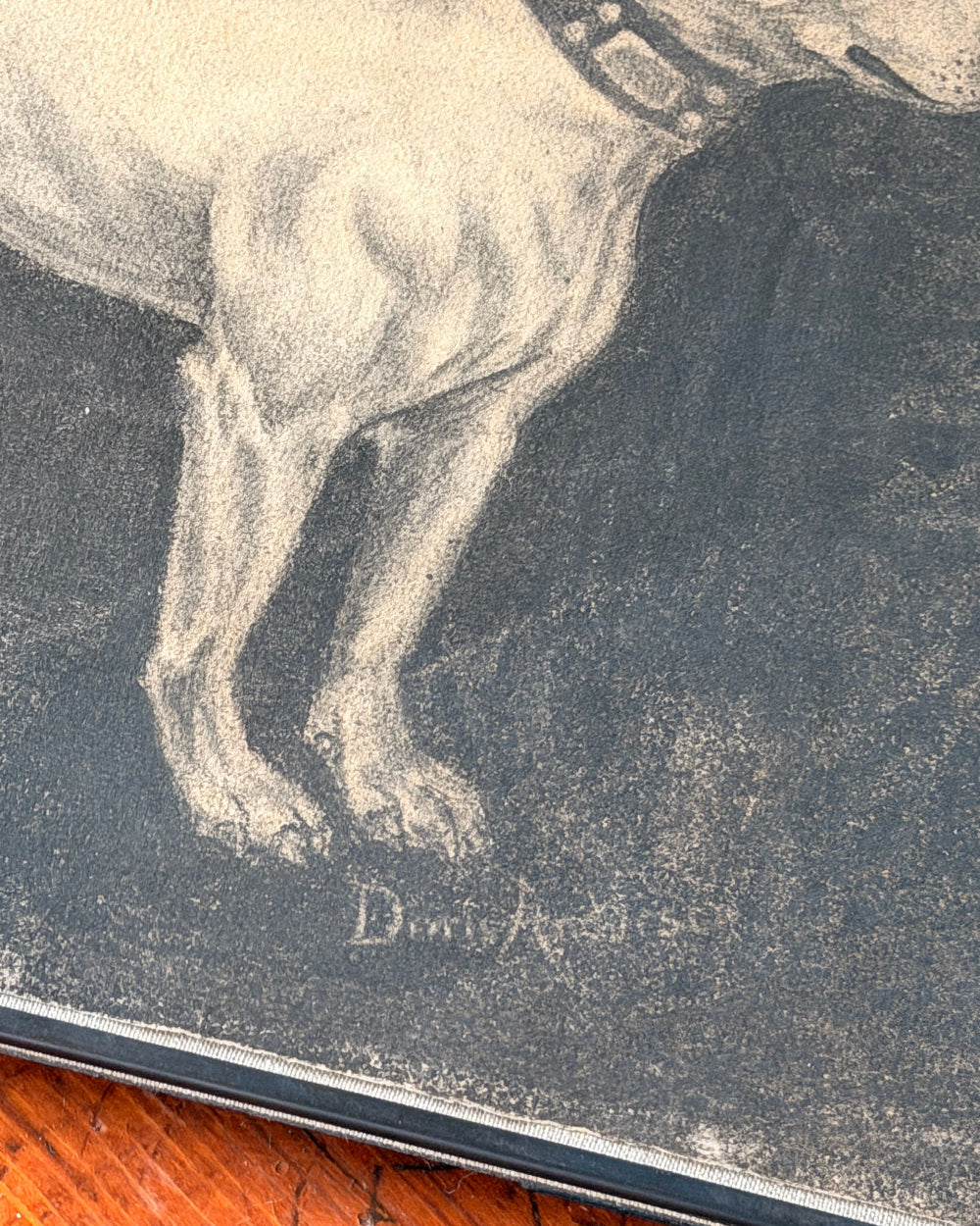 Original Charcoal of Bull Terrier