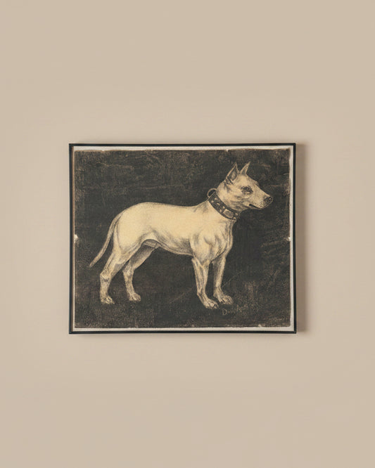 Original Charcoal of Bull Terrier