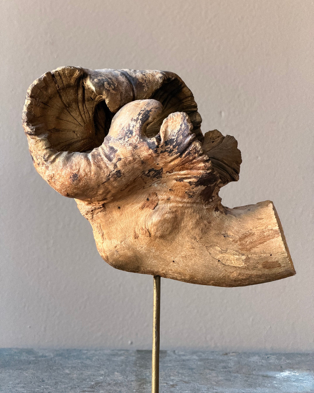 Wood Fragment on Stand