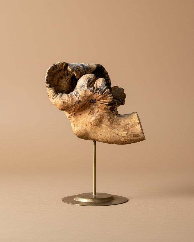 Wood Fragment on Stand