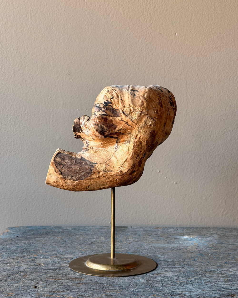 Wood Fragment on Stand