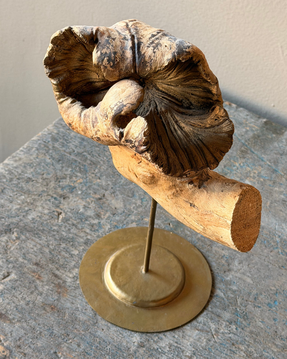 Wood Fragment on Stand