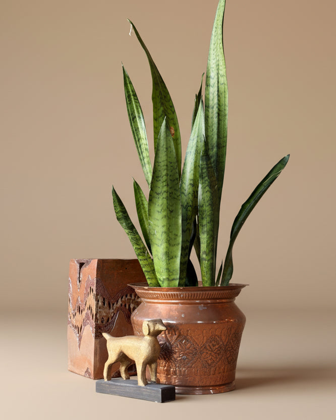 Pressed Copper Planter