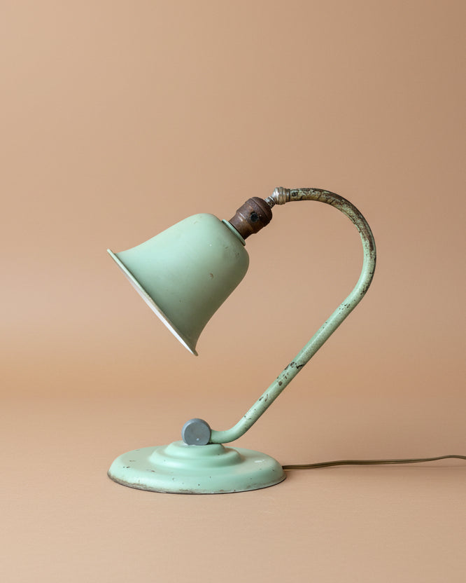 Deco Gooseneck Desk Lamp