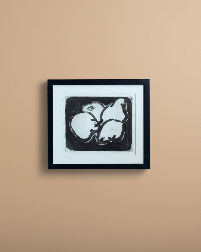 Framed Lithographs of Fruit