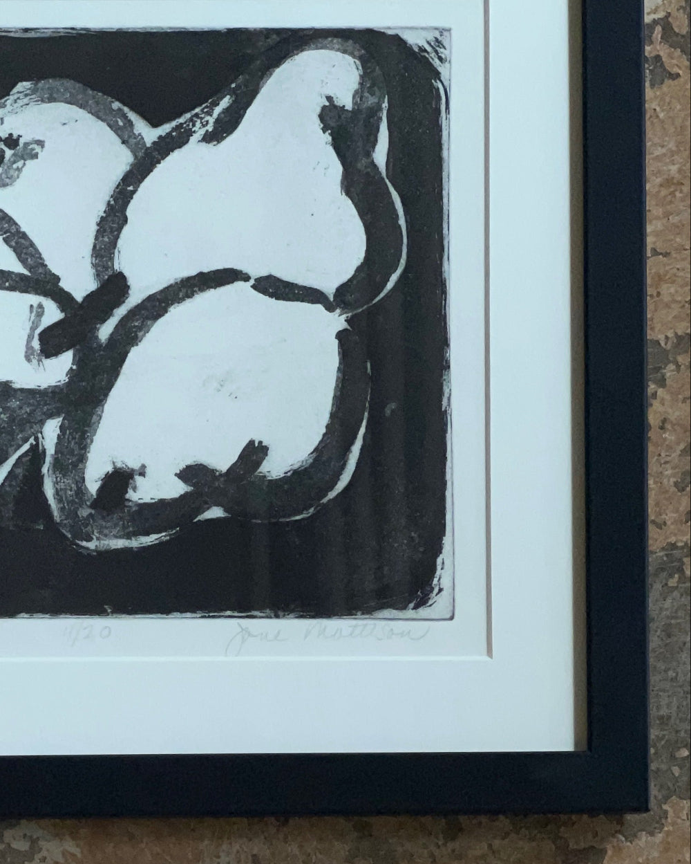 Framed Lithographs of Fruit