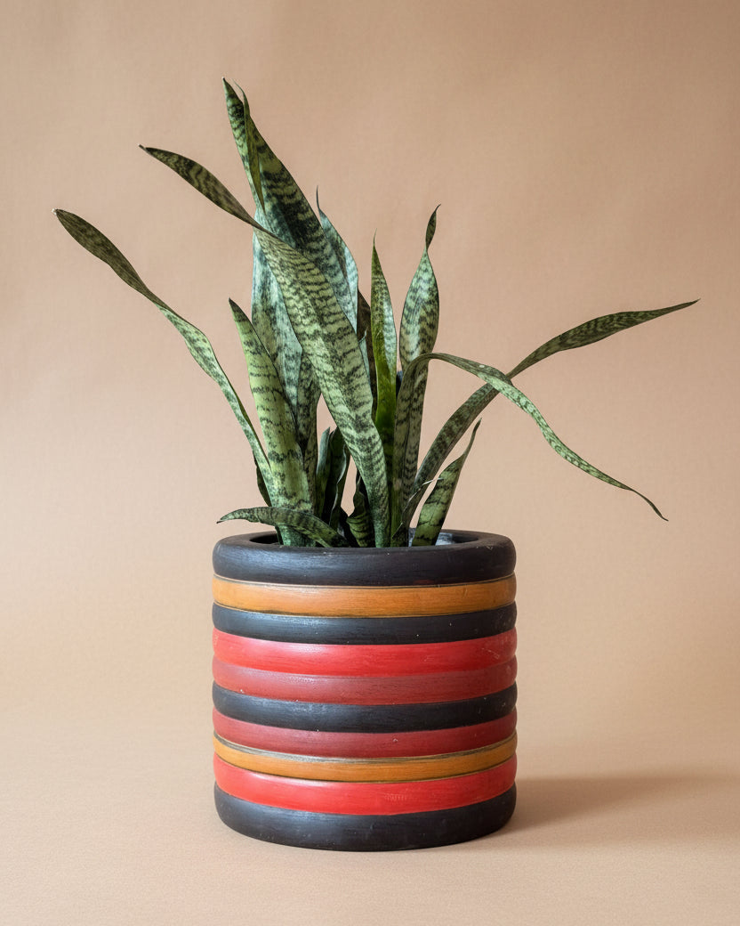 Polychrome Planter w/ Brass Insert