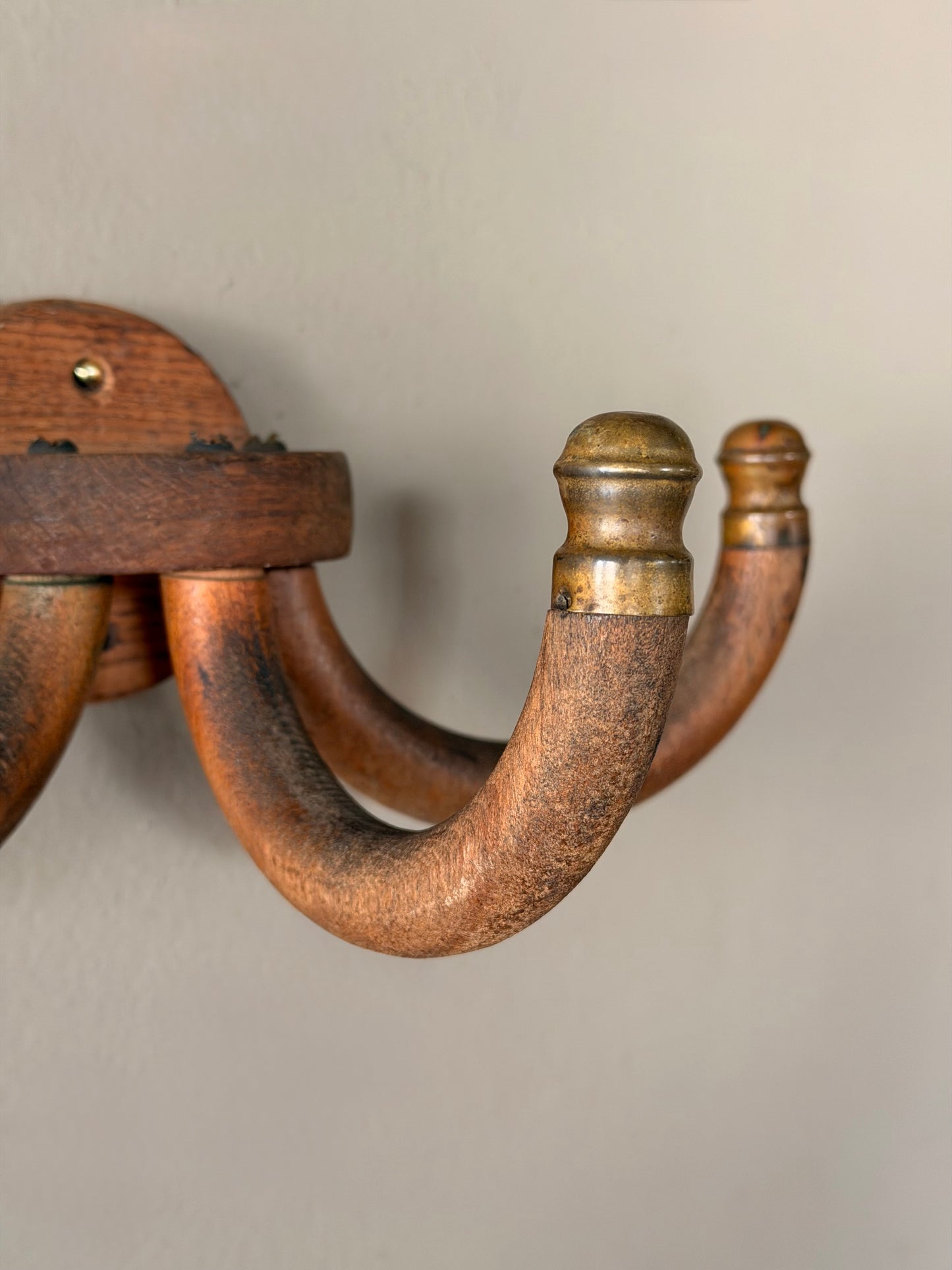 Brass Tipped Wall Hook