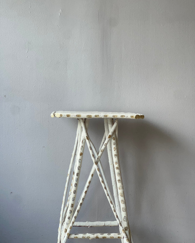 Folk Art Adirondack Twig Table