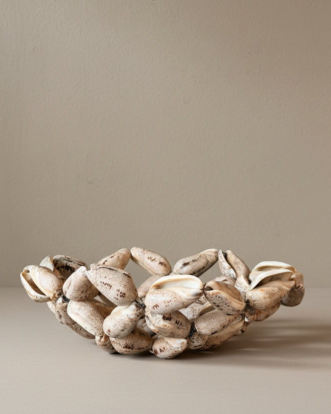 Wired Decorative Shell Bowl
