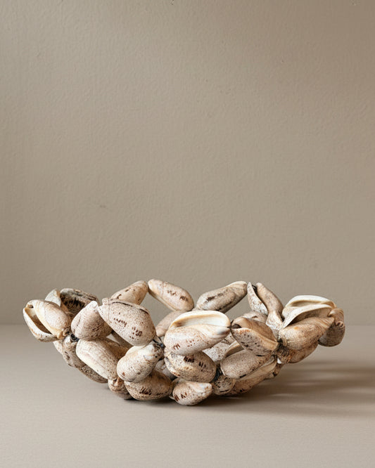 Wired Decorative Shell Bowl