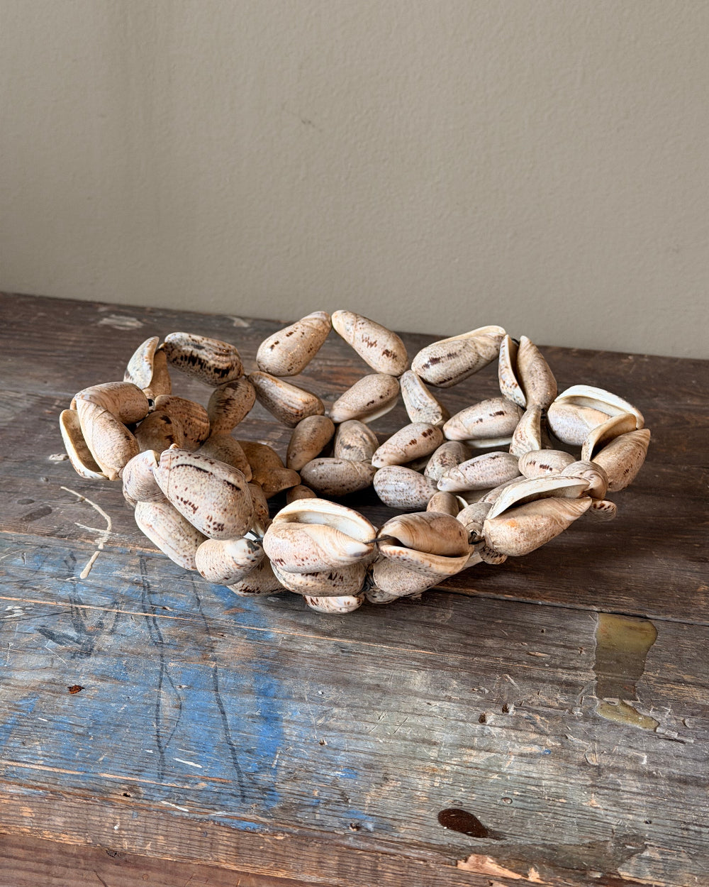Wired Decorative Shell Bowl