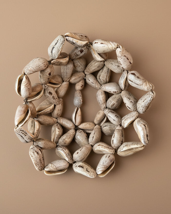 Wired Decorative Shell Bowl
